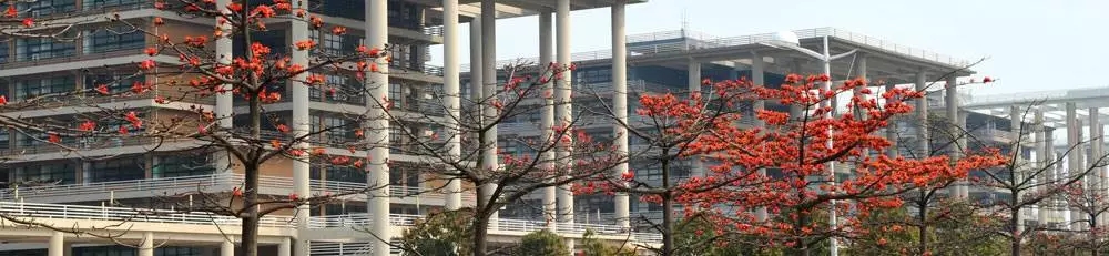 2019年廣東工業(yè)大學(xué)MBA招生簡章