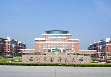 2021西北農(nóng)林科技大學(xué)MPA學(xué)費(fèi)及學(xué)制一覽