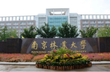 2022年南京林業大學MPAcc學費學制及招生人數一覽